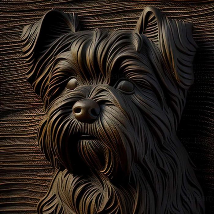 3D model Affenpinscher dog (STL)